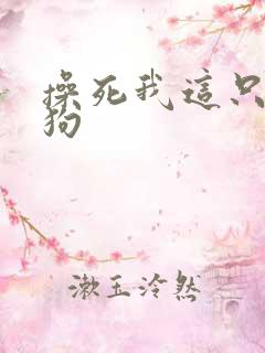 操死我这只贱母狗