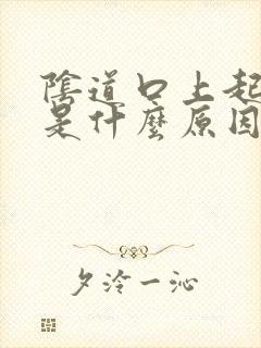 阴道口上起水泡是什么原因