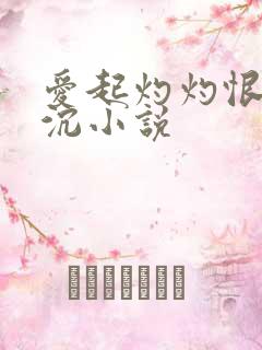 爱起灼灼恨生沉沉小说