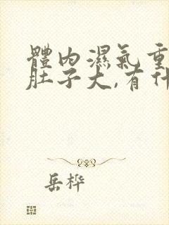 体内湿气重导致肚子大,有什么办法解决