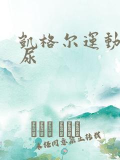 凯格尔运动 漏尿