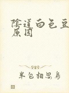 阴道白色豆腐渣原因