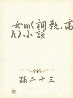 女m(调教,高h)小说