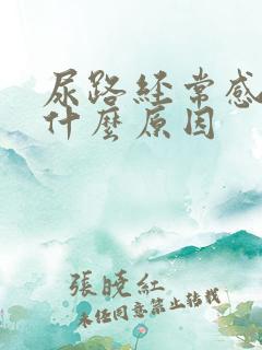 尿路经常感染是什么原因