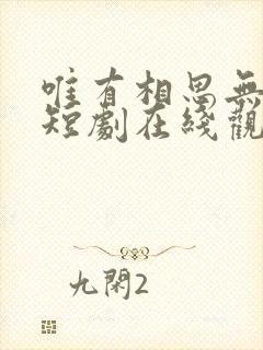 唯有相思无尽处短剧在线观看