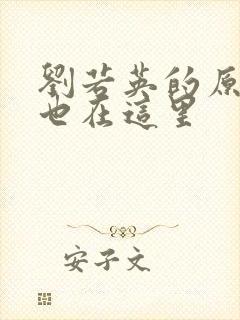 刘若英的原来你也在这里