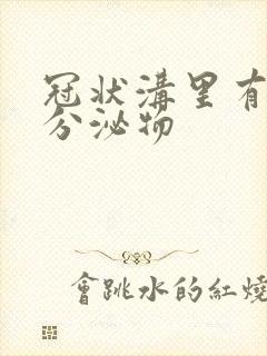 冠状沟里有黄色分泌物