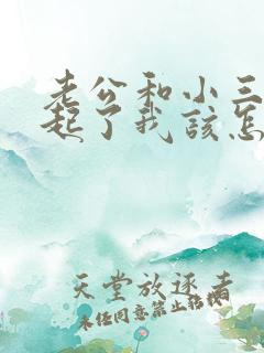 老公和小三在一起了我该怎么办