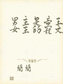 男主是帝王暗恋女主的宠文