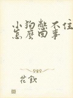 小狗憋不住尿是怎么回事