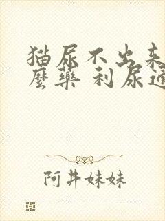 猫尿不出来吃什么药 利尿通