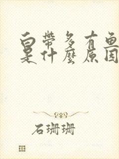 白带多有鱼腥味是什么原因