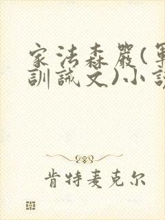 家法森严(军人训诫文)小说