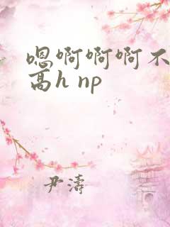 嗯啊啊啊不要啊高h np