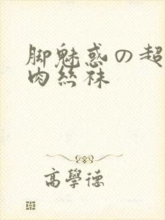 脚魅惑の超美脚肉丝袜