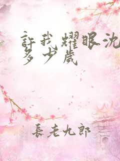 许我耀眼沈皓明多少岁