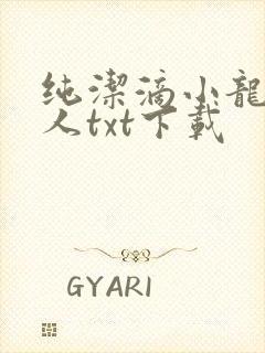 纯洁滴小龙捞尸人txt下载