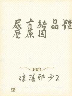 尿有结晶体是什么原因