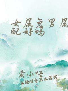 女属兔男属蛇婚配好吗