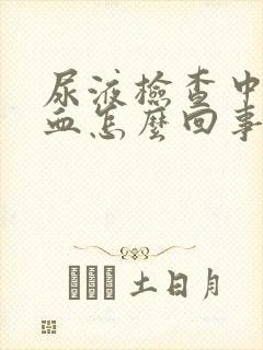 尿液检查中有隐血怎么回事