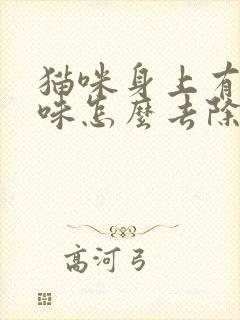 猫咪身上有尿骚味怎么去除