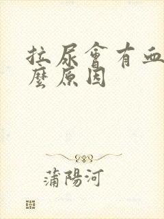 拉尿会有血是什么原因