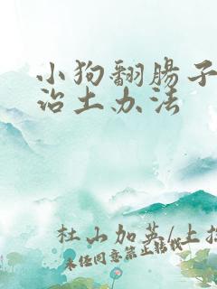 小狗翻肠子怎么治土办法
