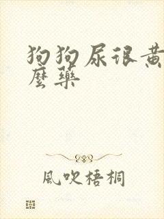 狗狗尿很黄吃什么药