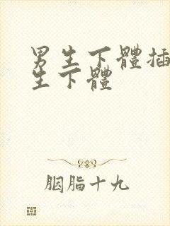 男生下体插进女生下体