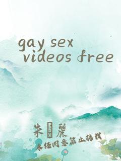 gay sex videos free