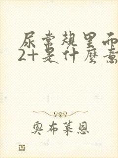 尿常规里面隐血2+是什么意思