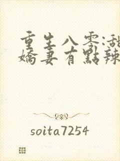 重生八零:甜宠娇妻有点辣