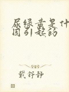 尿绿黄是什么原因引起的