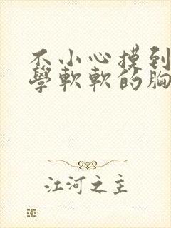 不小心摸到女同学软软的胸