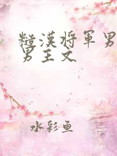 糙汉将军男主双男主文