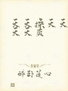 天天操天天干天天天爽