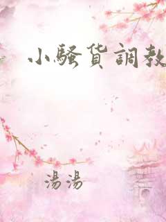 小骚货调教