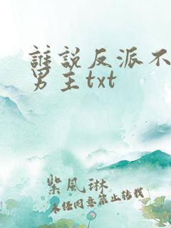 谁说反派不能当男主txt