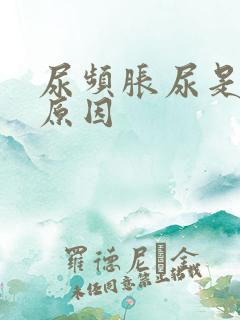 尿频胀尿是什么原因