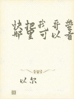 快把我哥带走在哪里可以看