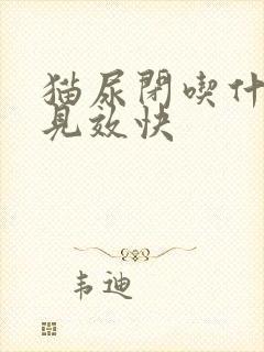 猫尿闭吃什么药见效快