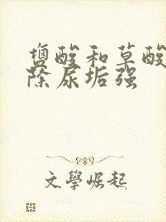 盐酸和草酸哪个除尿垢强