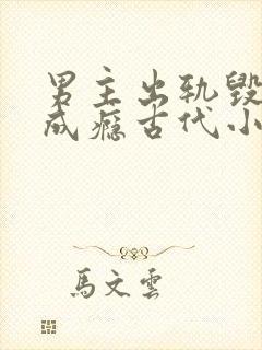 男主出轨毁三观成瘾古代小说