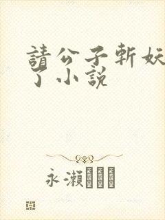 请公子斩妖裴不了小说