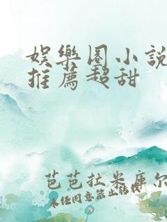 娱乐圈小说完结推荐超甜