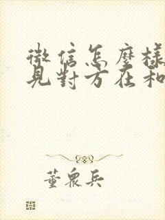 微信怎么样能看见对方在和谁聊天