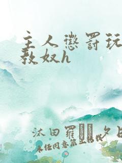 主人惩罚玩弄调教奴h