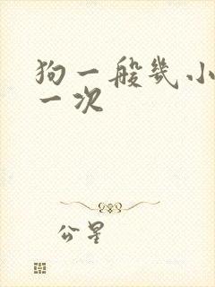 狗一般几小时尿一次