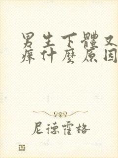 男生下体又痛又痒什么原因怎么办