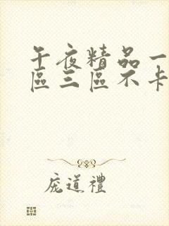 午夜精品一区二区三区不卡顿